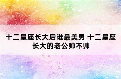 十二星座长大后谁最美男 十二星座长大的老公帅不帅